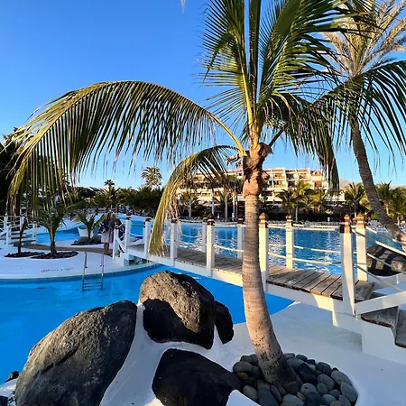Modern Studio With Garden View * Playa de las Américas